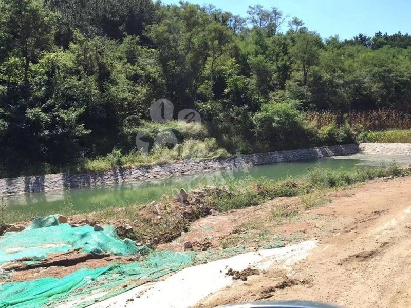 山東榮成（石島紅皇室珍珠產地）：鐵腕修復礦山，再塑生態翠屏