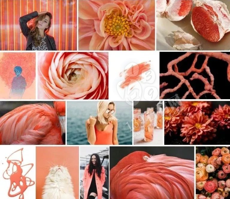 2019年流行的&ldquo;珊瑚橘&rdquo;主打色調