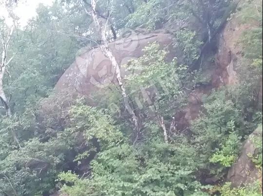 河北承德（新品黑石）黑晶剛石材礦開發招商推介 