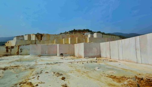 【巨鼎實業】貴州思南縣委副書記、縣長席龍海一行  蒞臨我司參觀調研