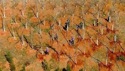 山東“濟(jì)南青石材”大理石平臺(tái) 為何日益珍貴？