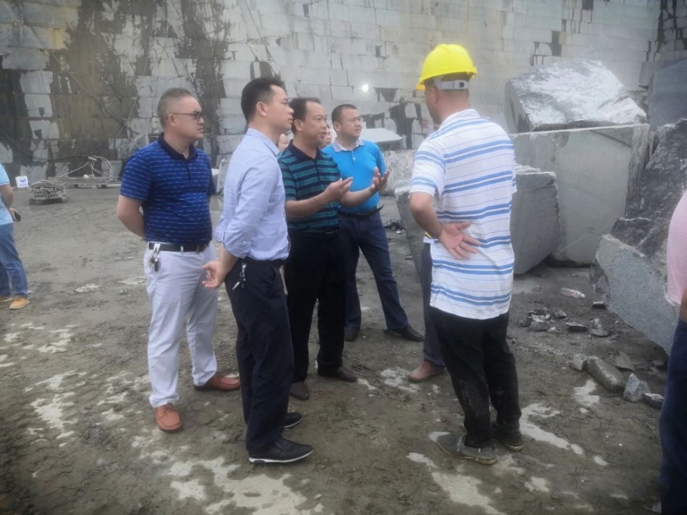 廣西鐘山縣人大副主任到花山鄉花崗巖礦山調研，附鐘山青（廣西芝麻黑）欣賞！