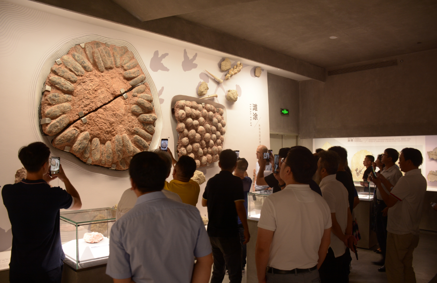 全國(guó)工商聯(lián)石材業(yè)商會(huì)四屆二次會(huì)長(zhǎng)（擴(kuò)大）會(huì)議在海西石材城成功召開(kāi)