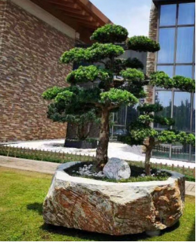 晏輝：用石材做的花盆真的人見人愛，每一款都獨具味道