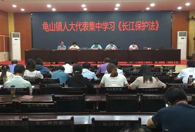 聚焦優(yōu)化營商環(huán)境，助推石材產(chǎn)業(yè)發(fā)展——麻城龜山鎮(zhèn)人大代表在行動(dòng)