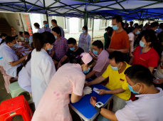 廣西654產地鐘山燕塘鎮